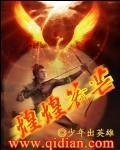 煌煌箭芒这本书怎么样