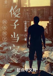 四合院之傻子当家TXT电子书