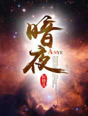 暗夜守护者开端