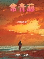 常青藤12v25a电池尺寸
